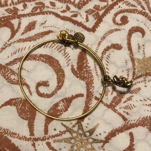 Alex and Ani crown charm